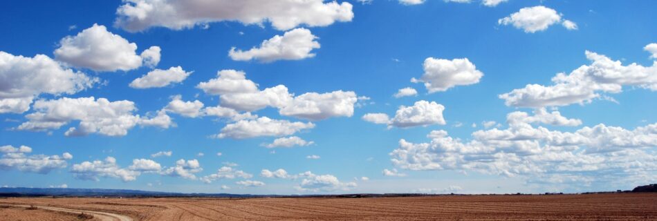 brown field and blue sky