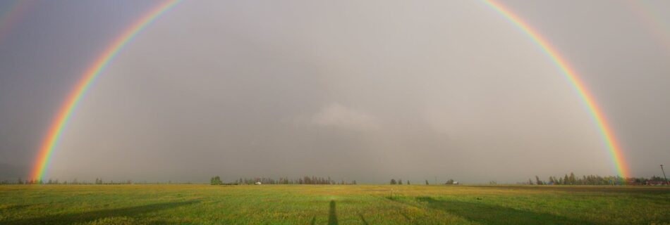 rainbow on grass field